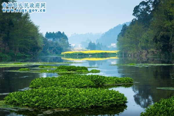 罗波镇人口_罗波镇板欧村