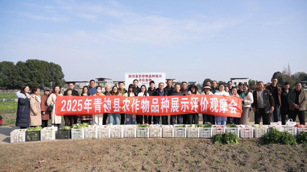 青神县召开2025年农作物品种展示评价观摩会