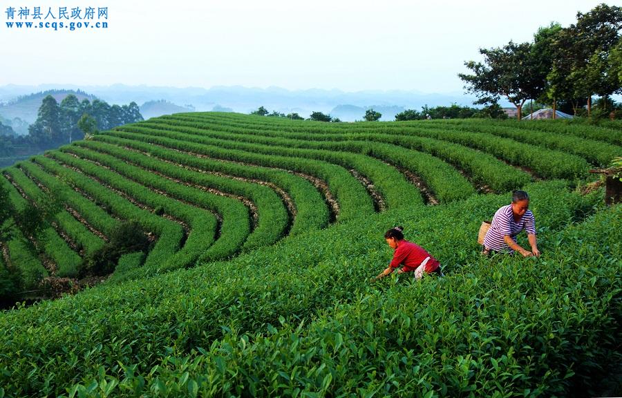 青神美景