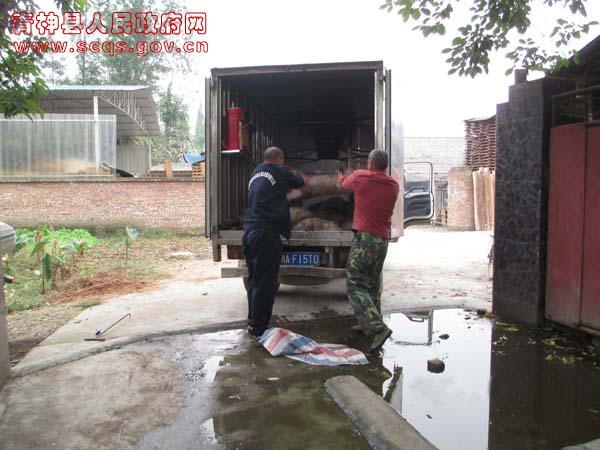 县农牧局无害化处理病死畜禽