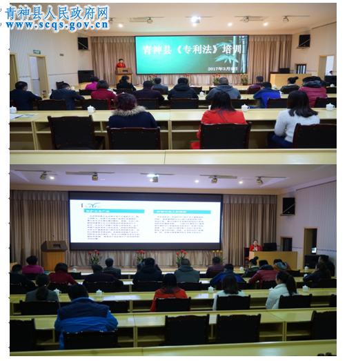竹产业知识产权专题培训  助推创新创业发展