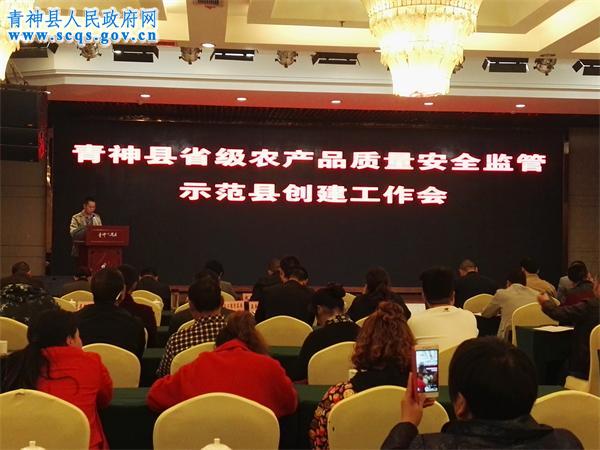 业主表态性发言