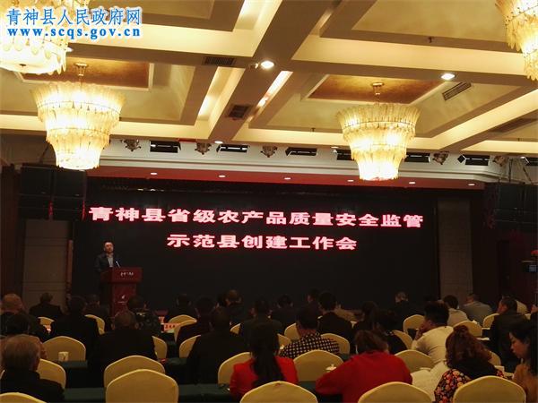 副县长宋麒麟发言