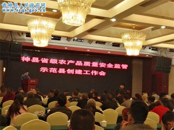 县农牧局局长何为民发言