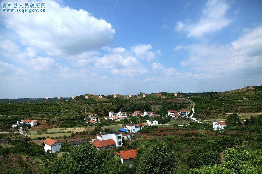 美丽乡村