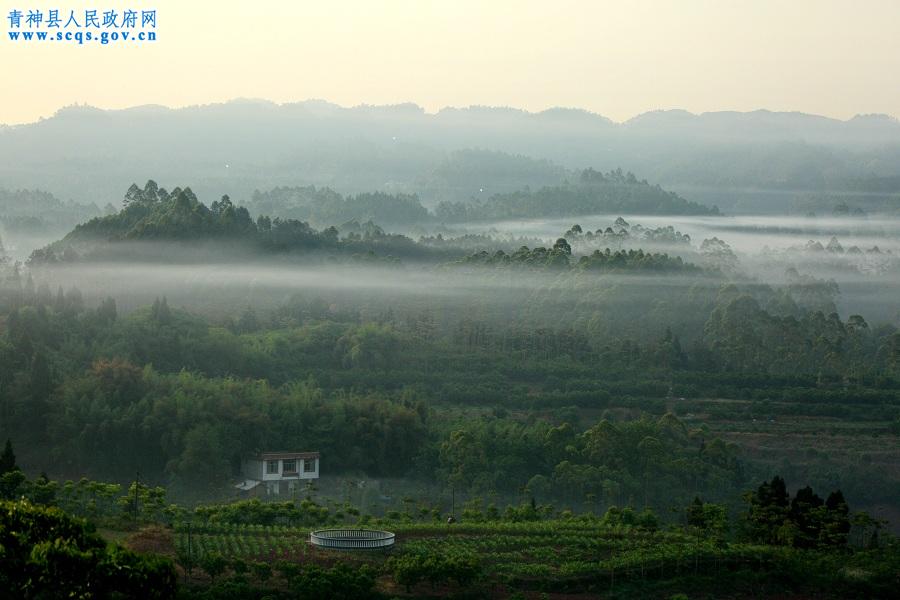 青神美景