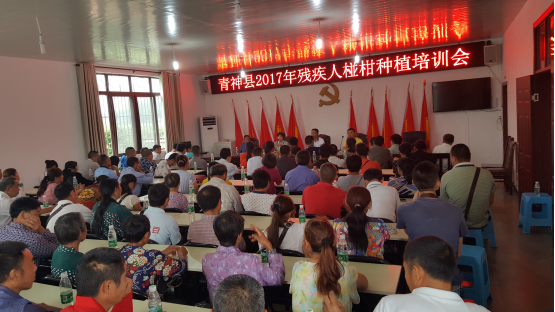 图为椪柑种植培训会现场